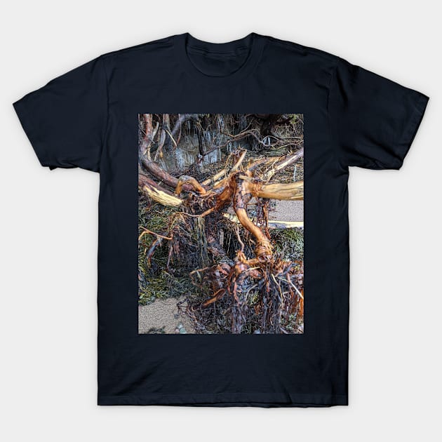 roots one T-Shirt by AdonEast